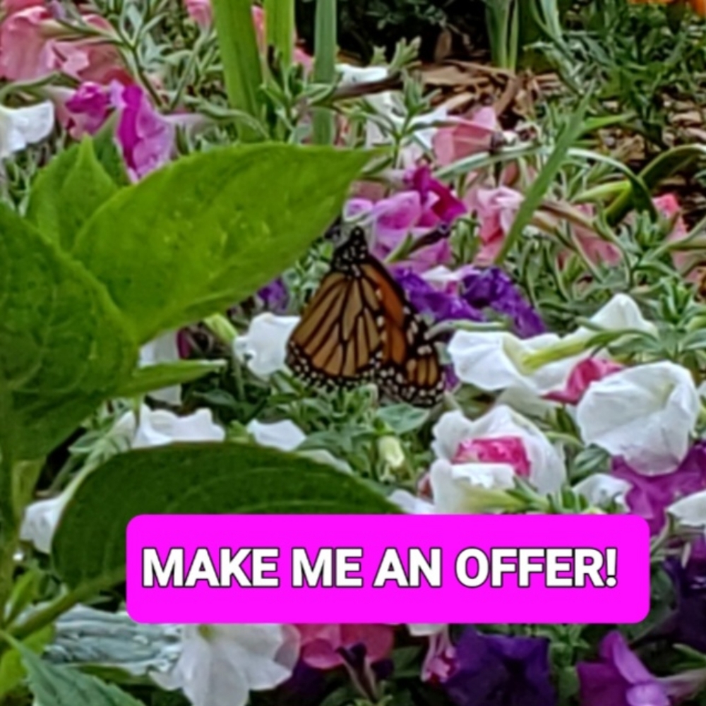 OFFERS ACCEPTED!